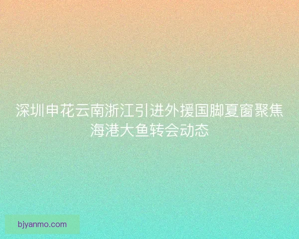 深圳申花云南浙江引进外援国脚夏窗聚焦海港大鱼转会动态